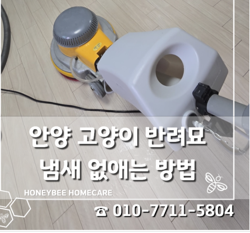 고양이 냄새제거 방문 모습1